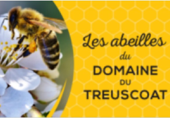 LES ABEILLES DU DOMAINE DU TREUSCOAT